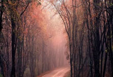 开云体育在线-鹿岛鹿角阵容磨合加速,迎接严峻挑战