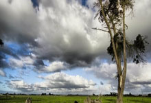 开云体育下载-进攻风暴的铸造者:拜仁锋线群像的破壁哲学