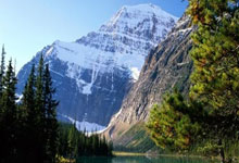 开云体育在线-鹿岛鹿角阵容磨合加速，迎接严峻挑战