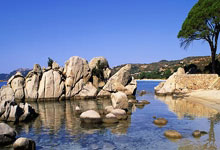 开云体育下载-阿尔艾因攻防转换加快，比赛节奏全面提升