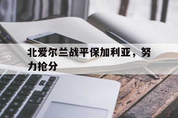 开云体育登录-关于北爱尔兰战平保加利亚,努力抢分的信息