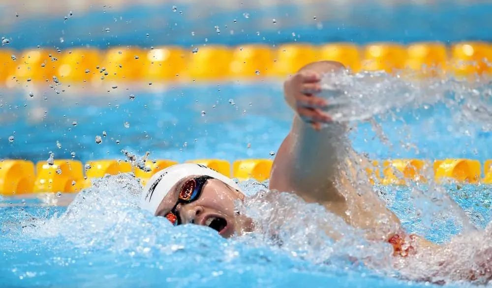 捷克游泳选手勇夺金牌,雄赳赳 捷克游泳选手勇夺金牌,雄赳赳