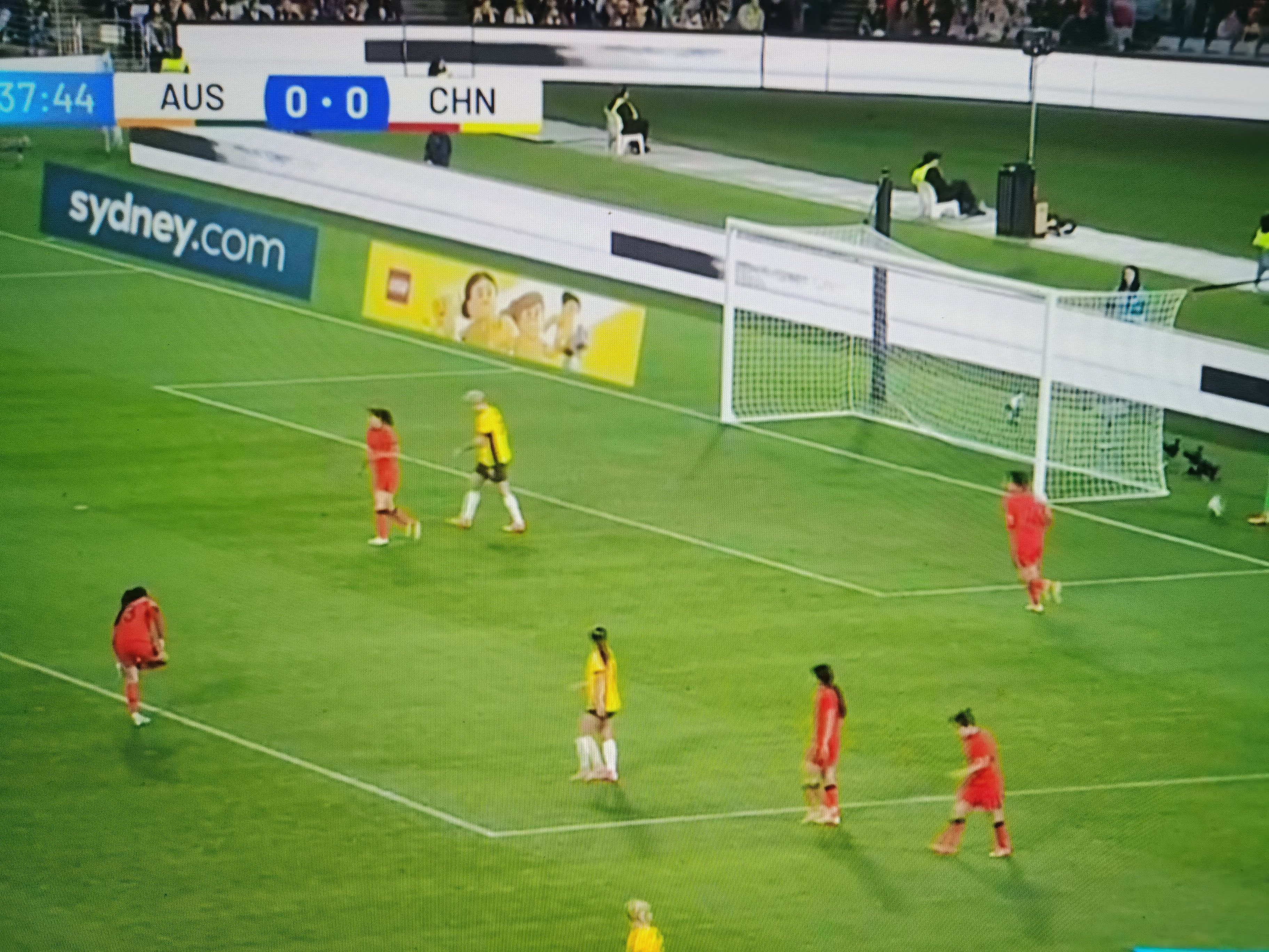 争霸赛场:女足比赛轰动一时的简单介绍 争霸赛场:女足比赛轰动一时的简单介绍